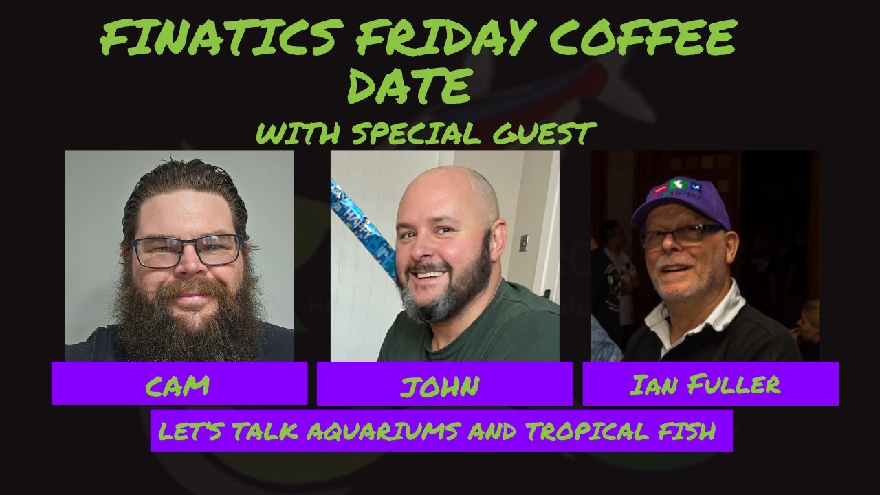 FFCD Episode 197 with Ian Fuller