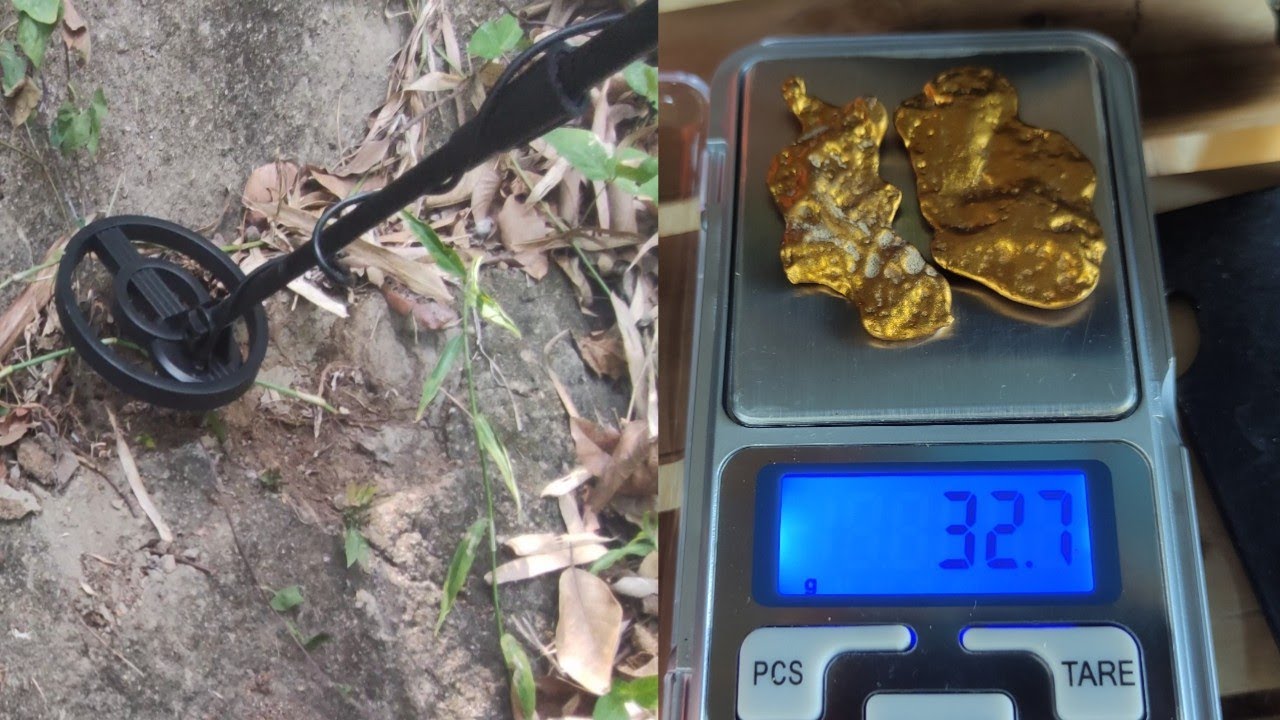 I got 32.7 gram of gold using metal detector / gold detector / treasure hunting / gold hunting /