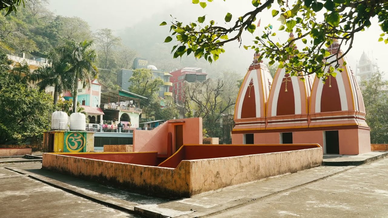 AUSTEN GEORGE - INDIA