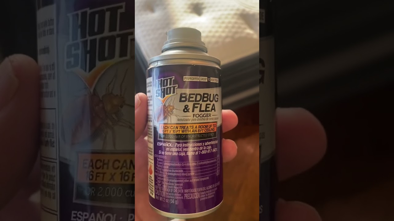 Bed bug fogger