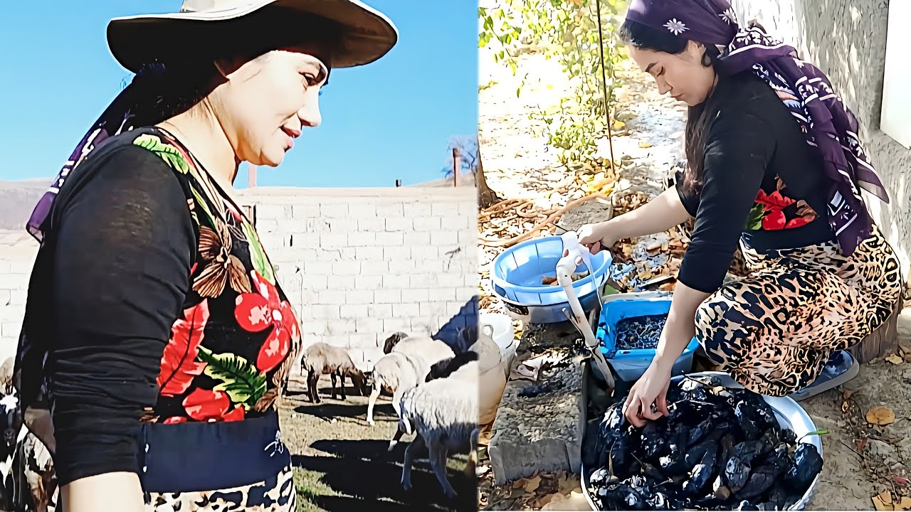 Off-Grid Village Life Day 3 | Fire-Cooked Eggplants & Sunset with the Sheep