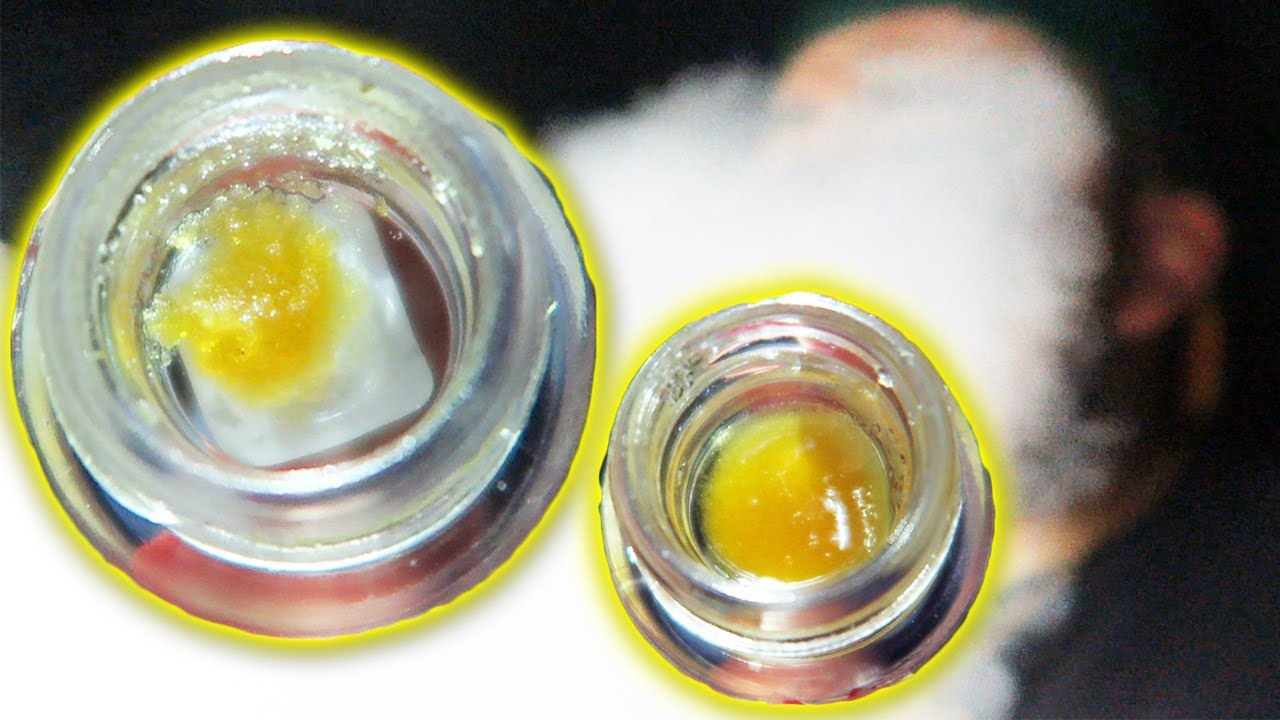 FRUIT FUSION RAW GARDEN SAUCE REVIEW & SUPER PLATINUM GELATO JOINT!! (FAT DABS)