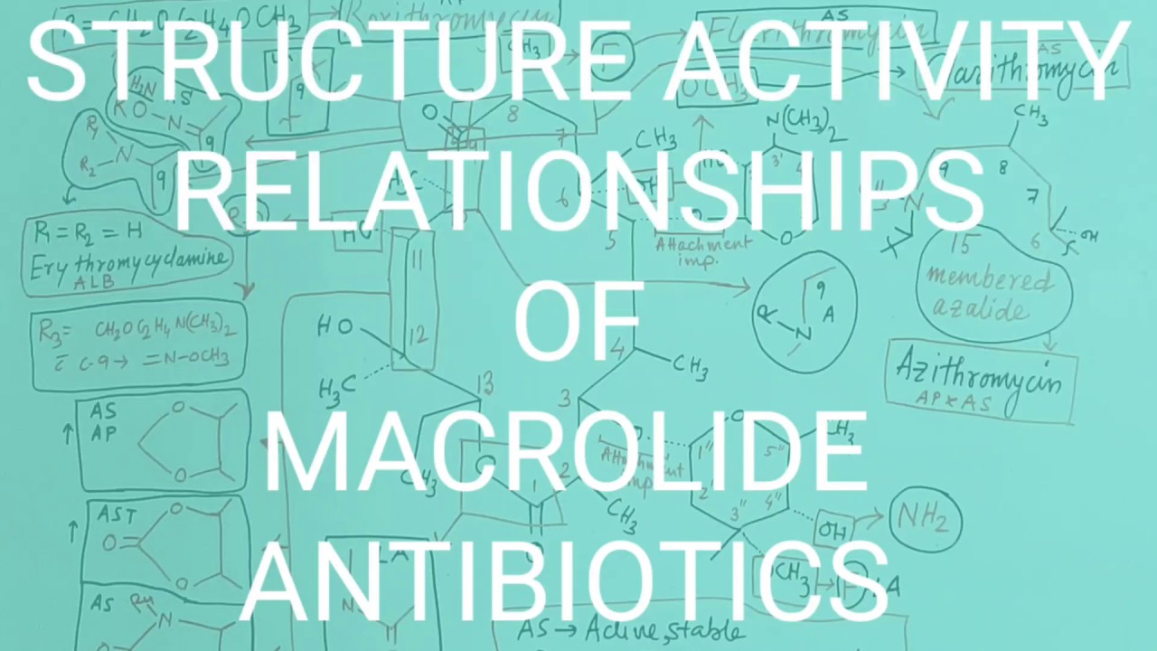 MACROLIDE ANTIBIOTICS (Part- 4): STRUCTURE ACTIVITY RELATIONSHIPS