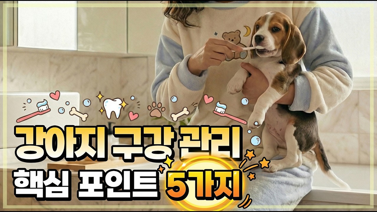 양치질 안 하면 치매 걸린다?