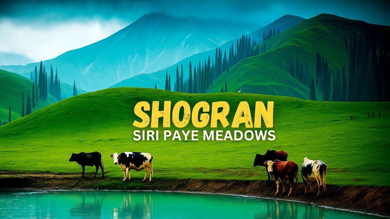 Shogran Siri Paye Meadows | Hidden Paradise in Pakistan 🇵🇰 | Explore Pakistan