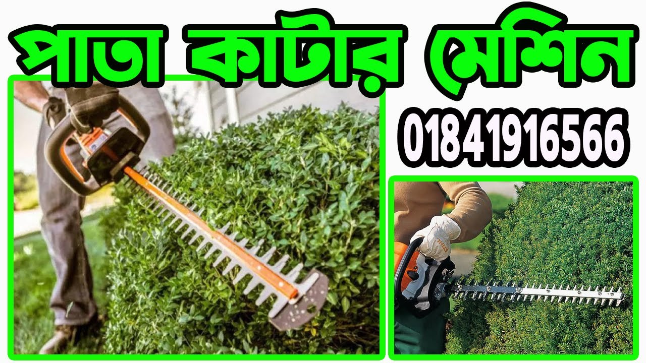 পাতা কাটার মেশিন | pata kata machine price in bd |  hedge trimmer
