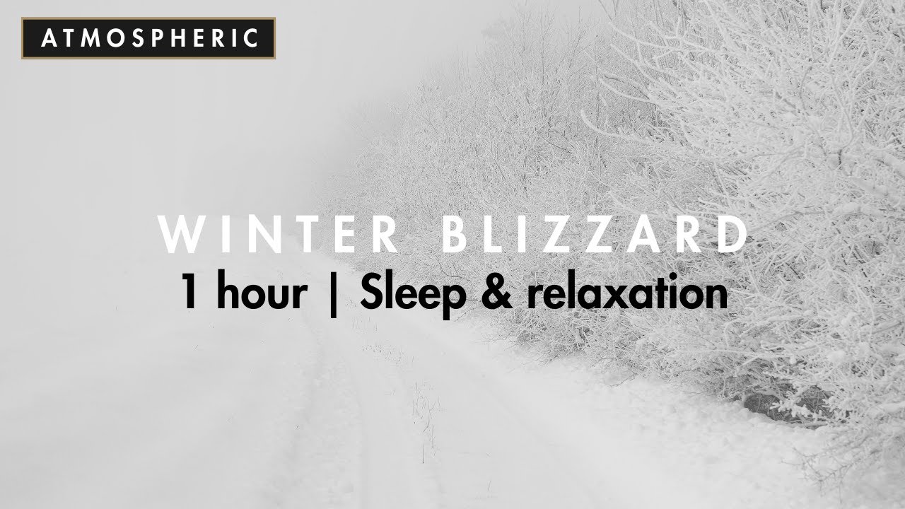 1 Hour Heavy Winter Blizzard | Atmospheric Snowstorm Ambience for Sleep & Focus
