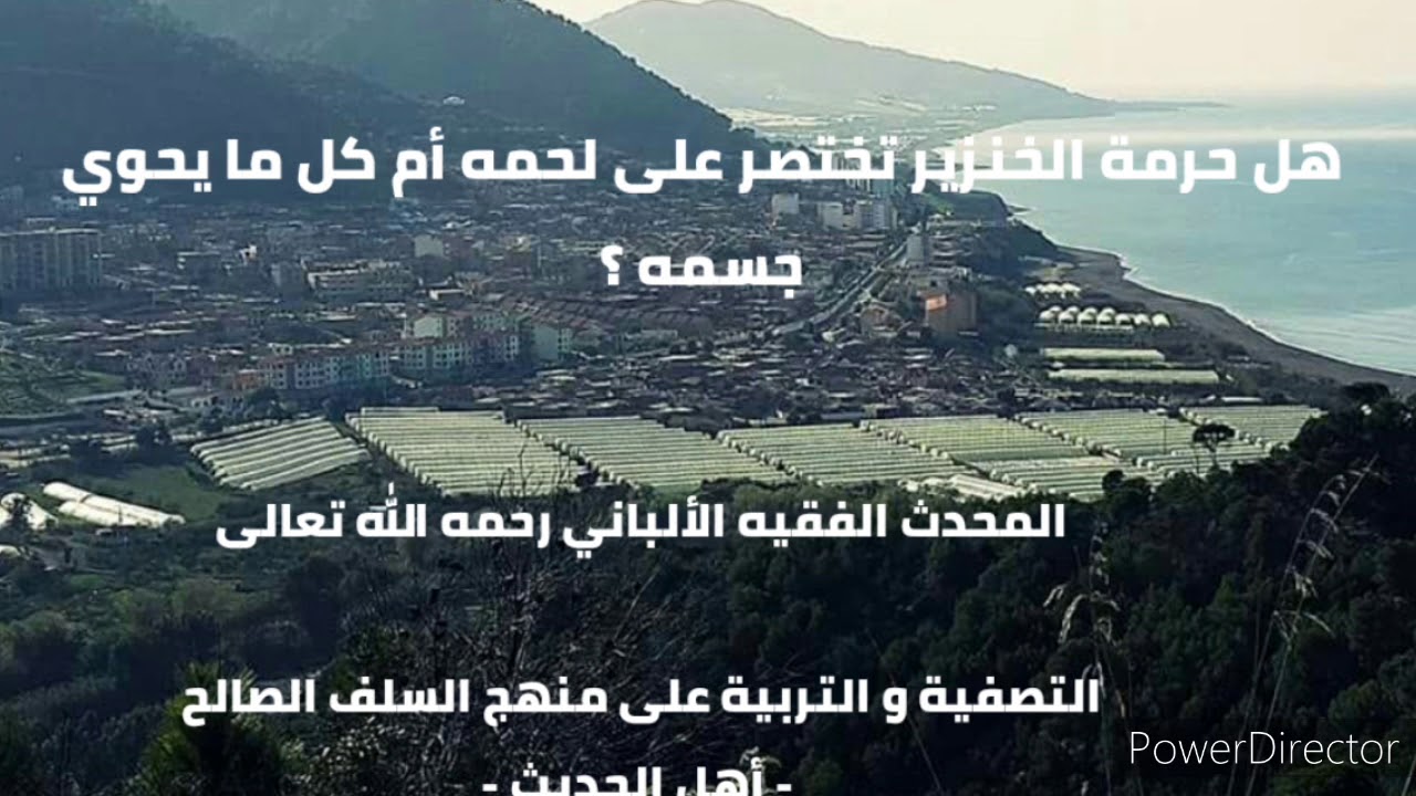 هل فقط لحم الخنزير حرام ؟ . الشيخ الألباني رحمه الله