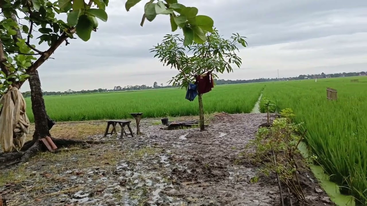 Pertanian adalah pekerjaan manusia yang paling sehat, paling bermanfaat, dan paling mulia.