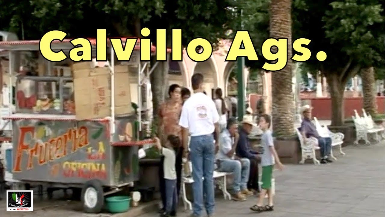 Calvillo Ags. 2005 Videos de México