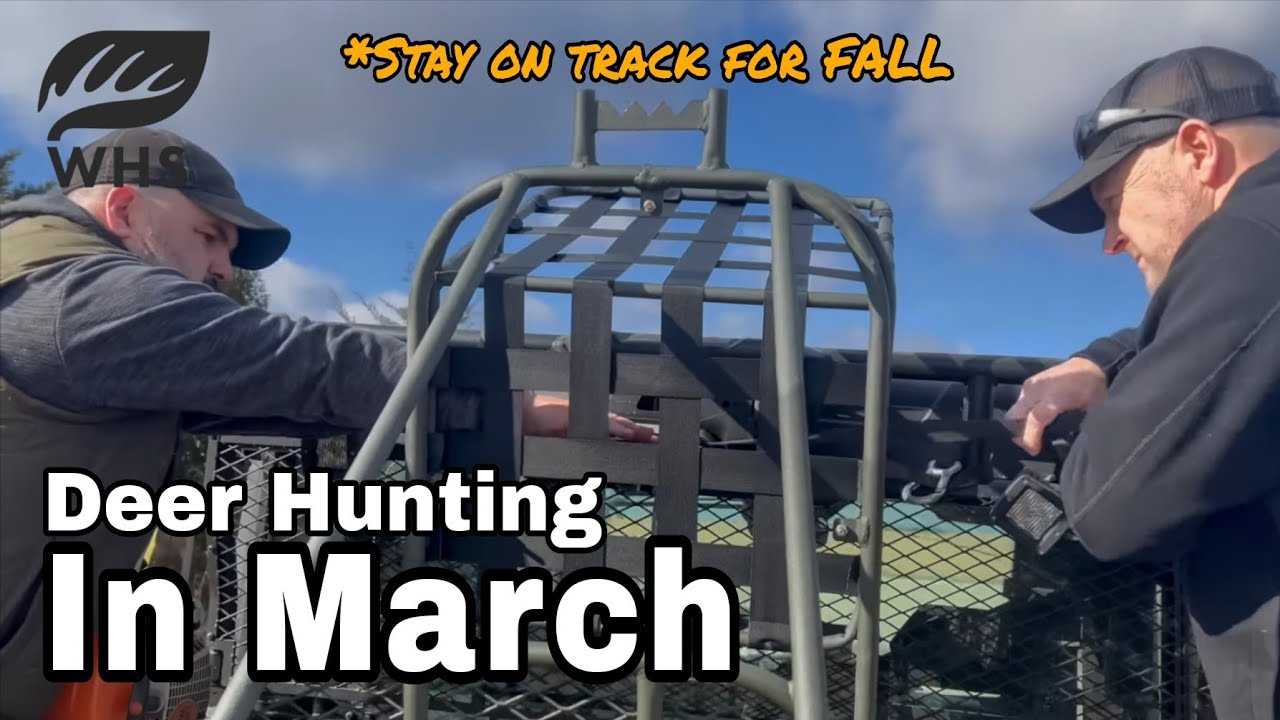 Deer Hunting In March