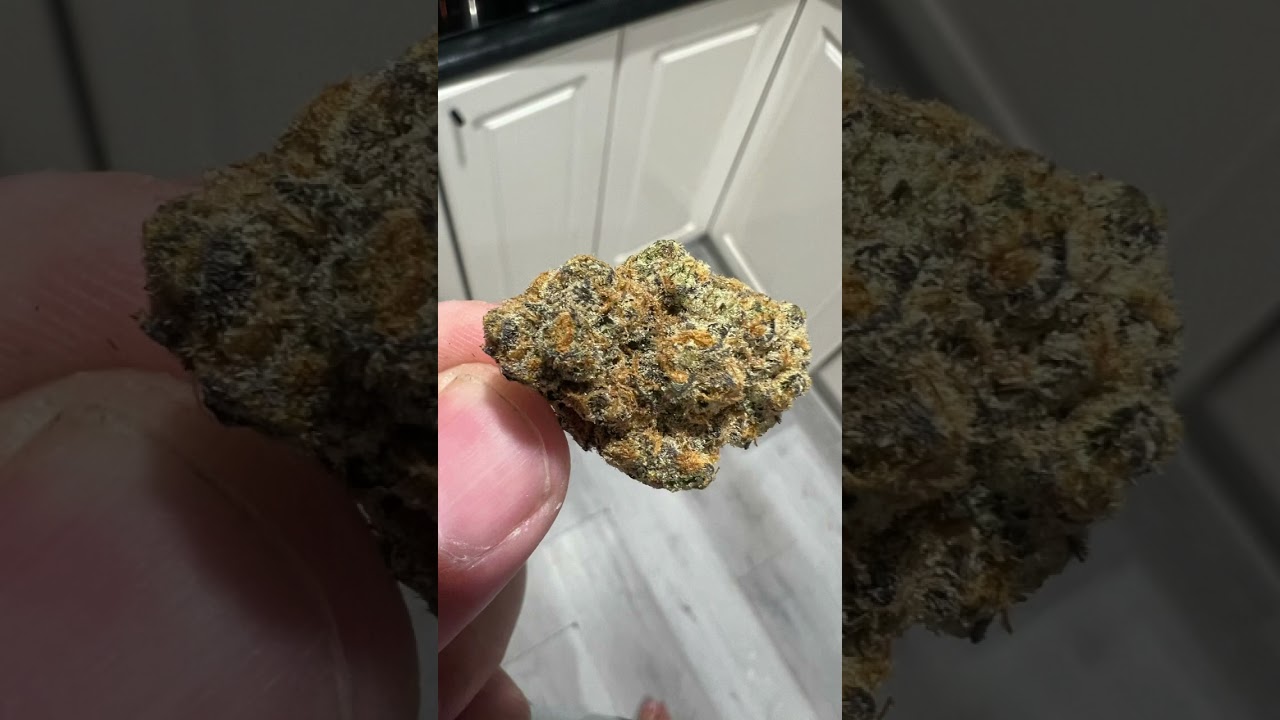 Animal Face 28% THC Sativa Flower - DISPENSED BRAND
