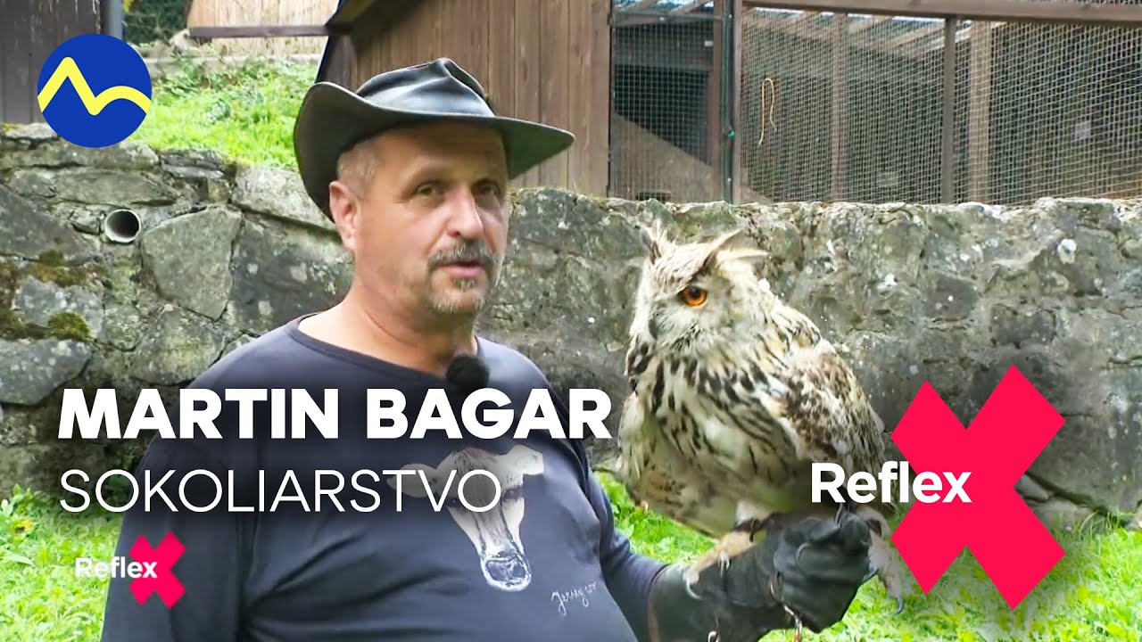 Sokoliarstvo Martina Bagara: na Farme 17 si splnil sen | Reflex