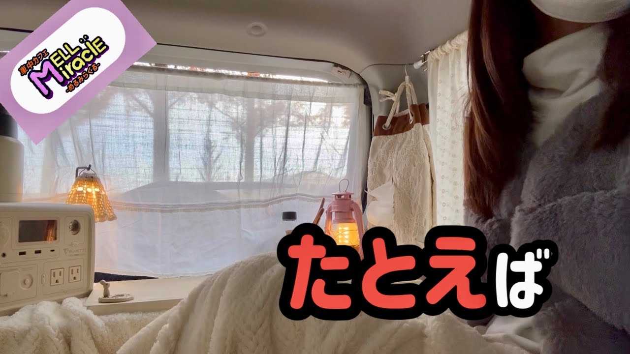 【軽自動車で車中カフェ】夢か現実かアバターか、卵か鶏か家康か/座席の隙間を埋める無印良品BOX/プロジェクションマッピング/〜安城市・デンパーク