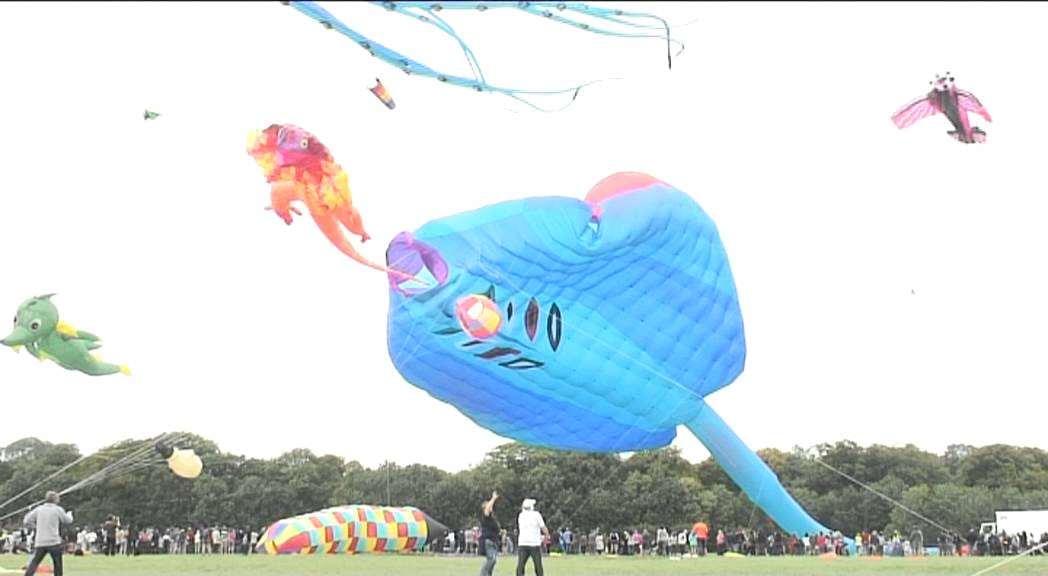 World's largest kite flight at Bristol kite festival 2011