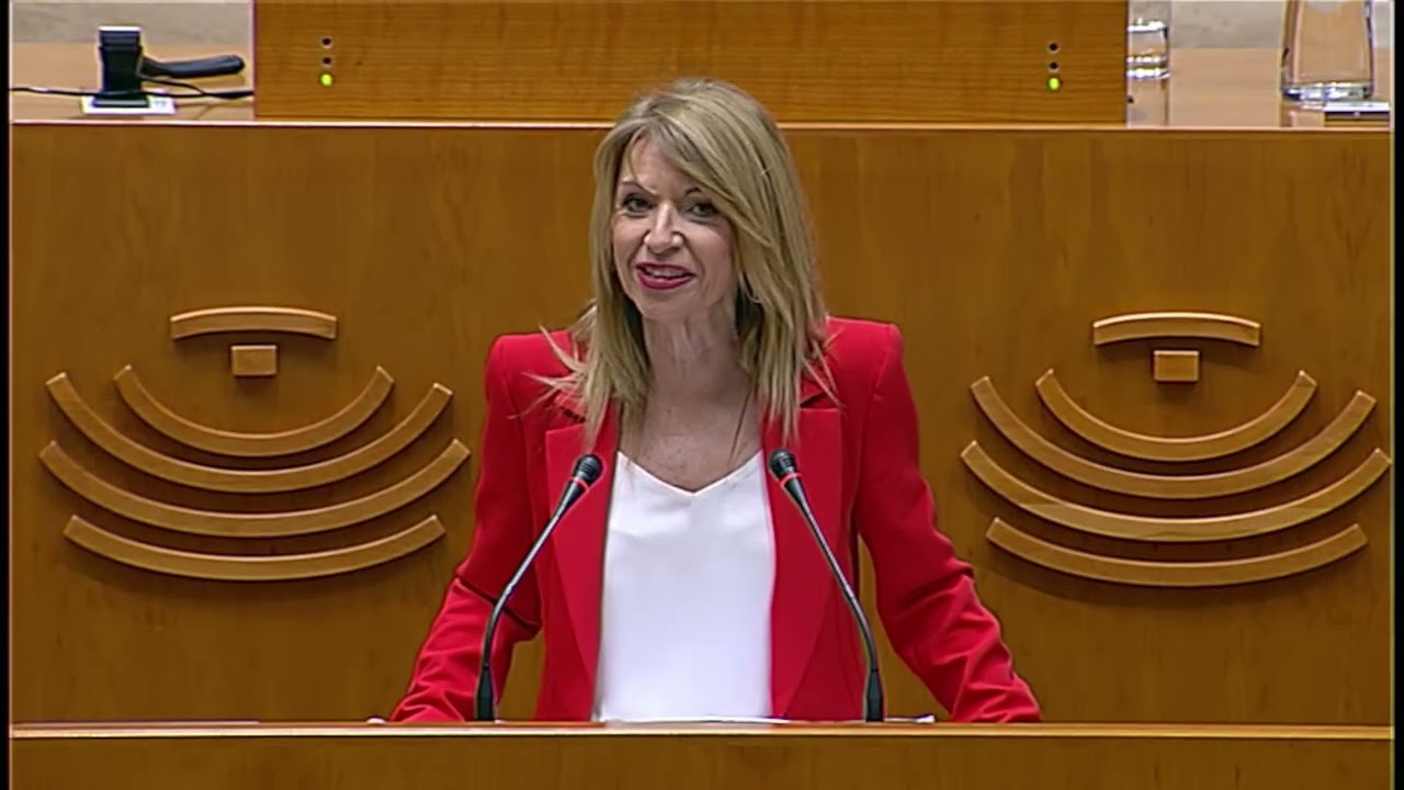 Intervención del Grupo Parlamentario Socialista (PSOE)