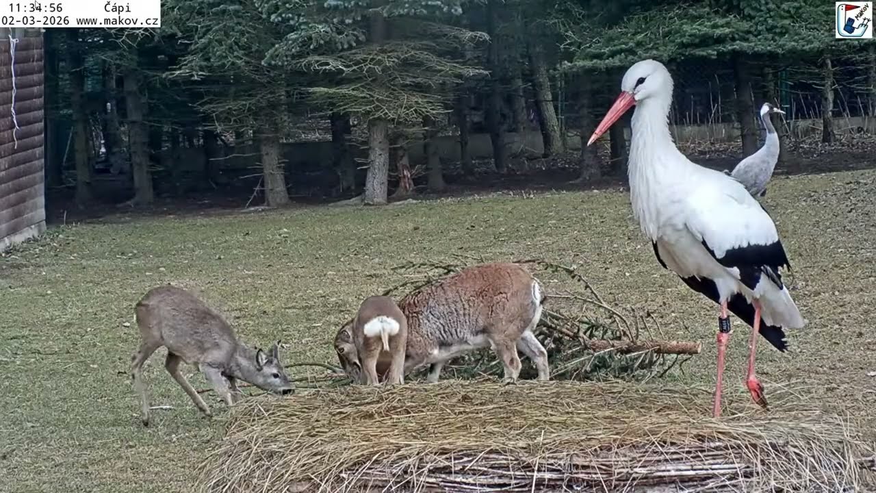 Všichni nástup před kameru