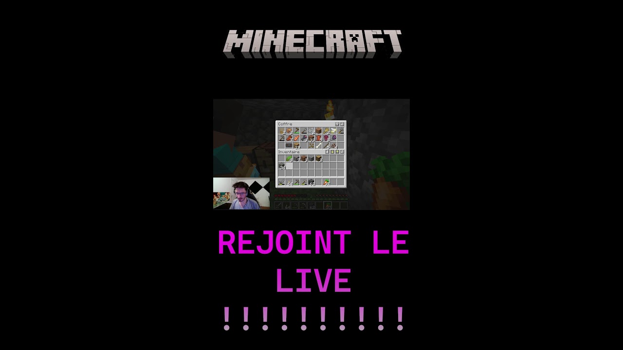 MINECRAFT !!! MODE HORREUR !!!! (Portrait)