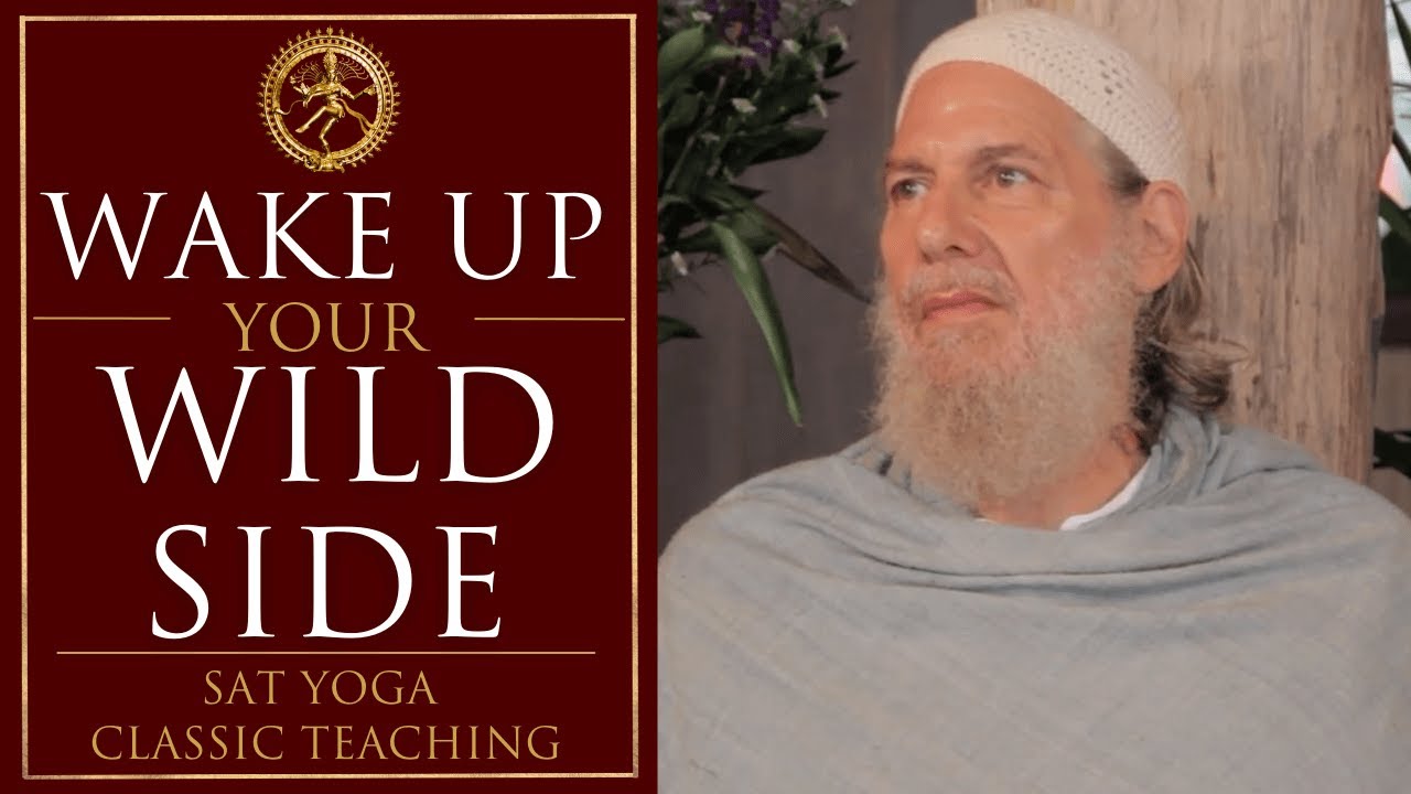 Blast Out of Your Normie Stupor! - Shunyamurti Teaching