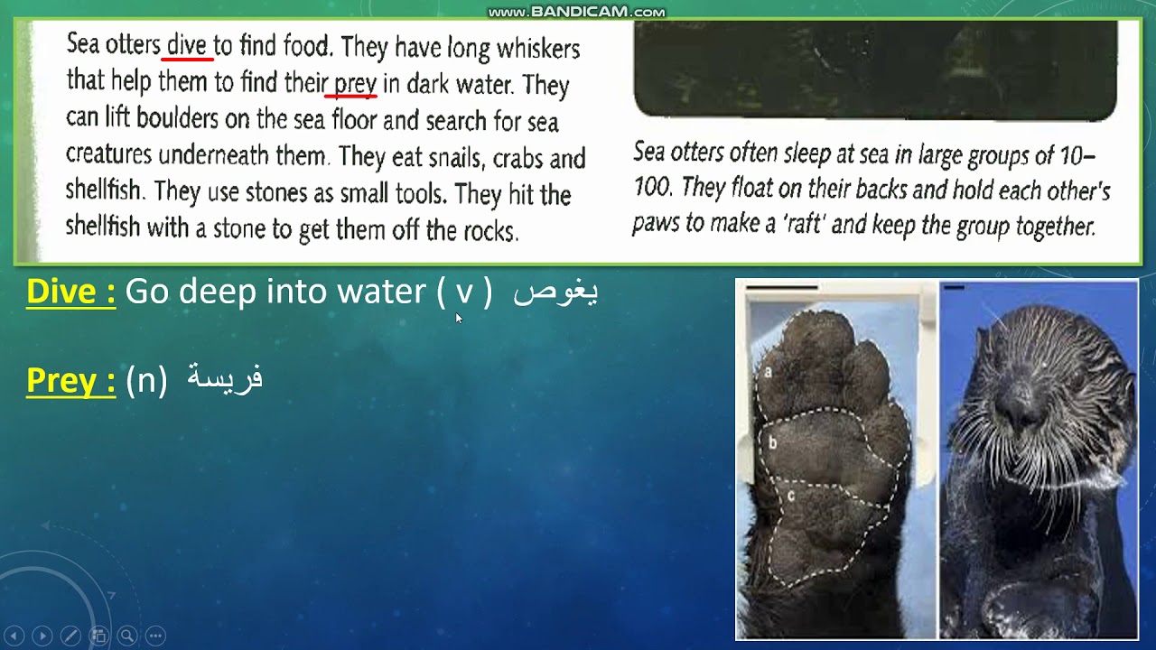 English World 7 /  Unit 3  / Reading  ( part 2 )