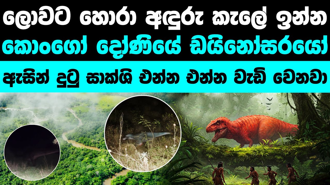 කොංගෝ වනාන්තරයේ හැංගිලා ඉන්න අවසාන ඩයිනෝසරයා | The last dinosaurs in Congo basin