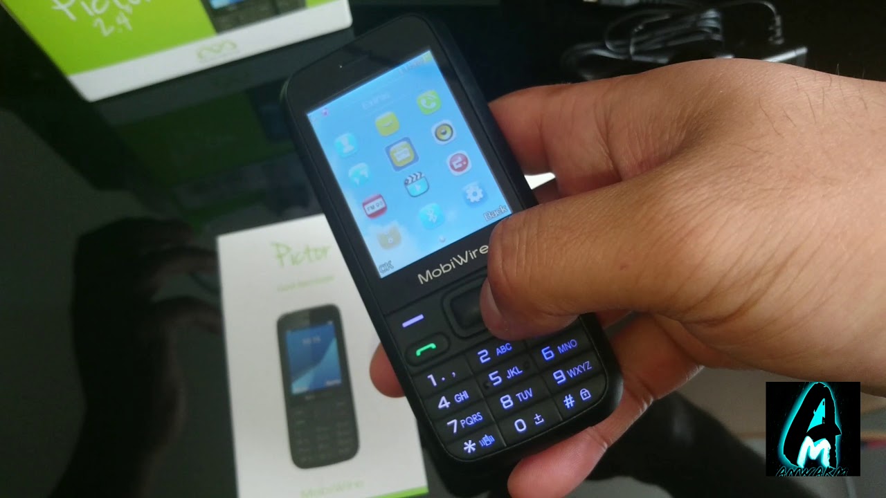 Mobiwire Pictor Mobile Phone (Review)