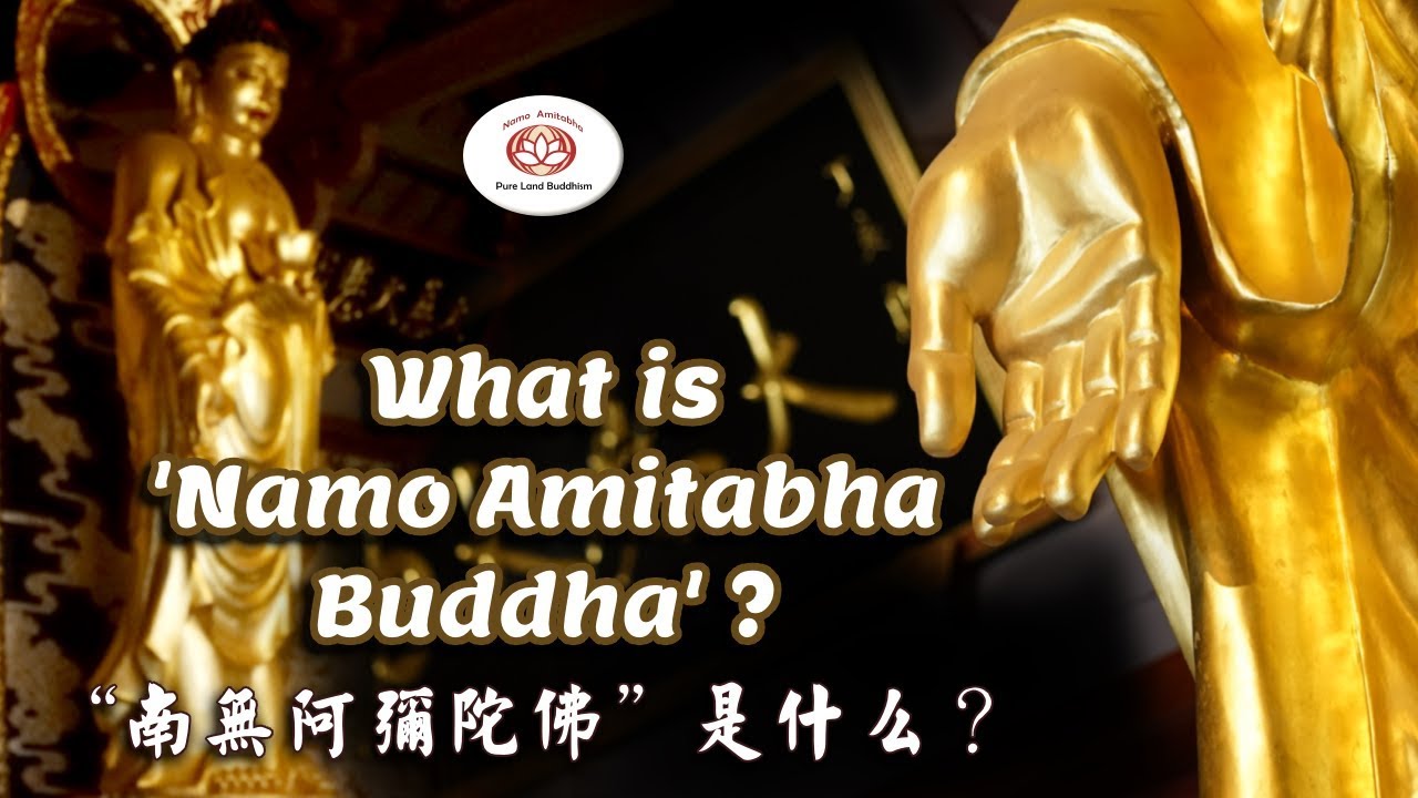 What is 'Namo Amitabha Buddha'? “南無阿彌陀佛”是什么？🎬