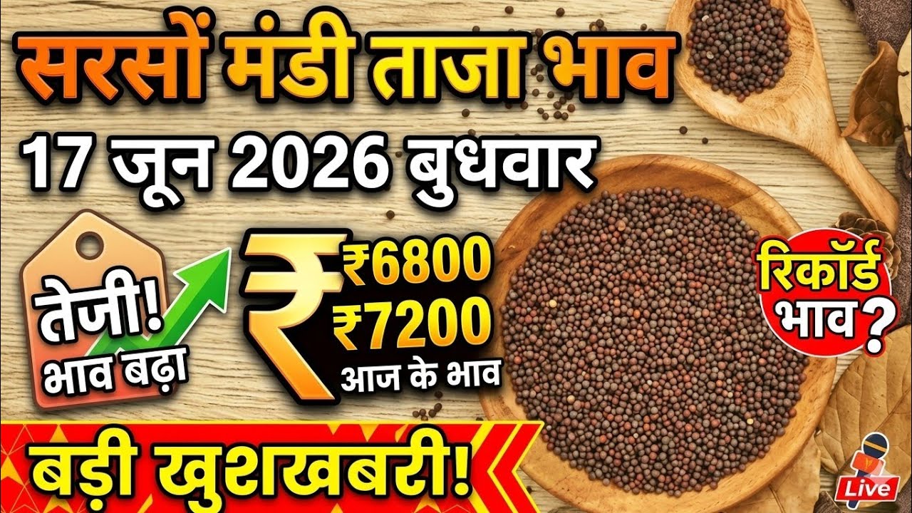 17 जून 2026 सरसों मंडी ताजा भाव जानिए।#sarso #sarso_mandi_bhav_today #bharatpur 