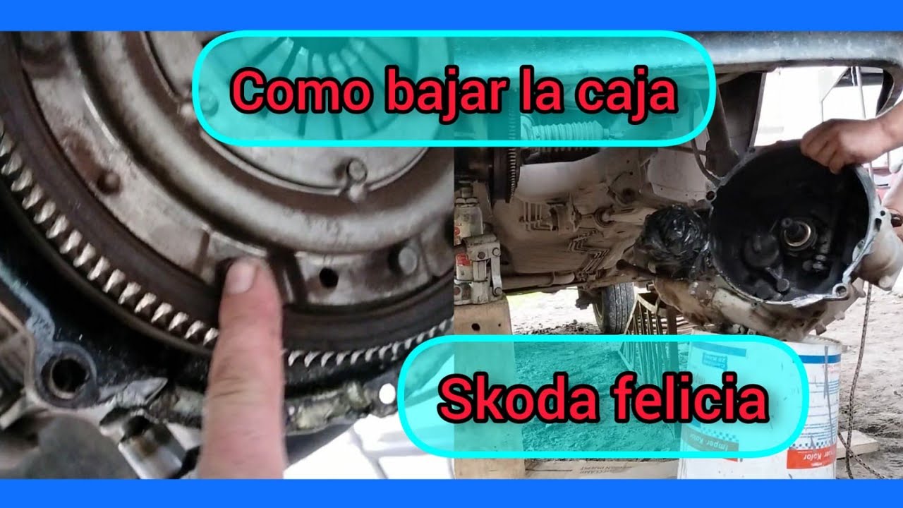 como bajar caja de cambios de skooda felicia