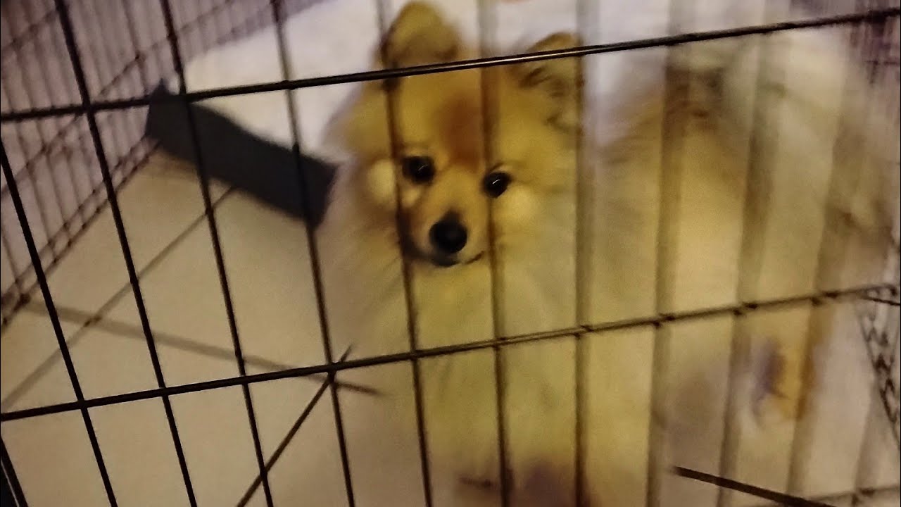 I Want To Play Mama