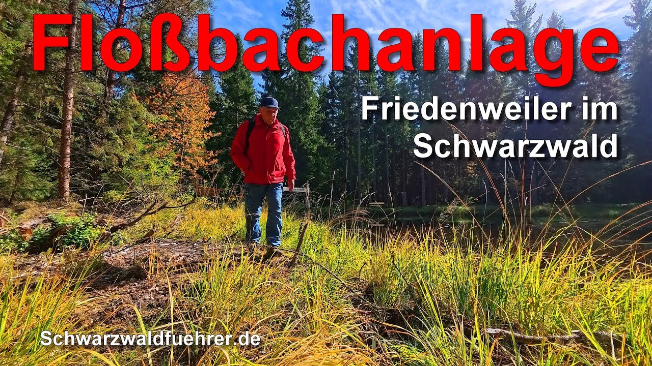 Floßbachanlage bei Friedenweiler im Hochschwarzwald