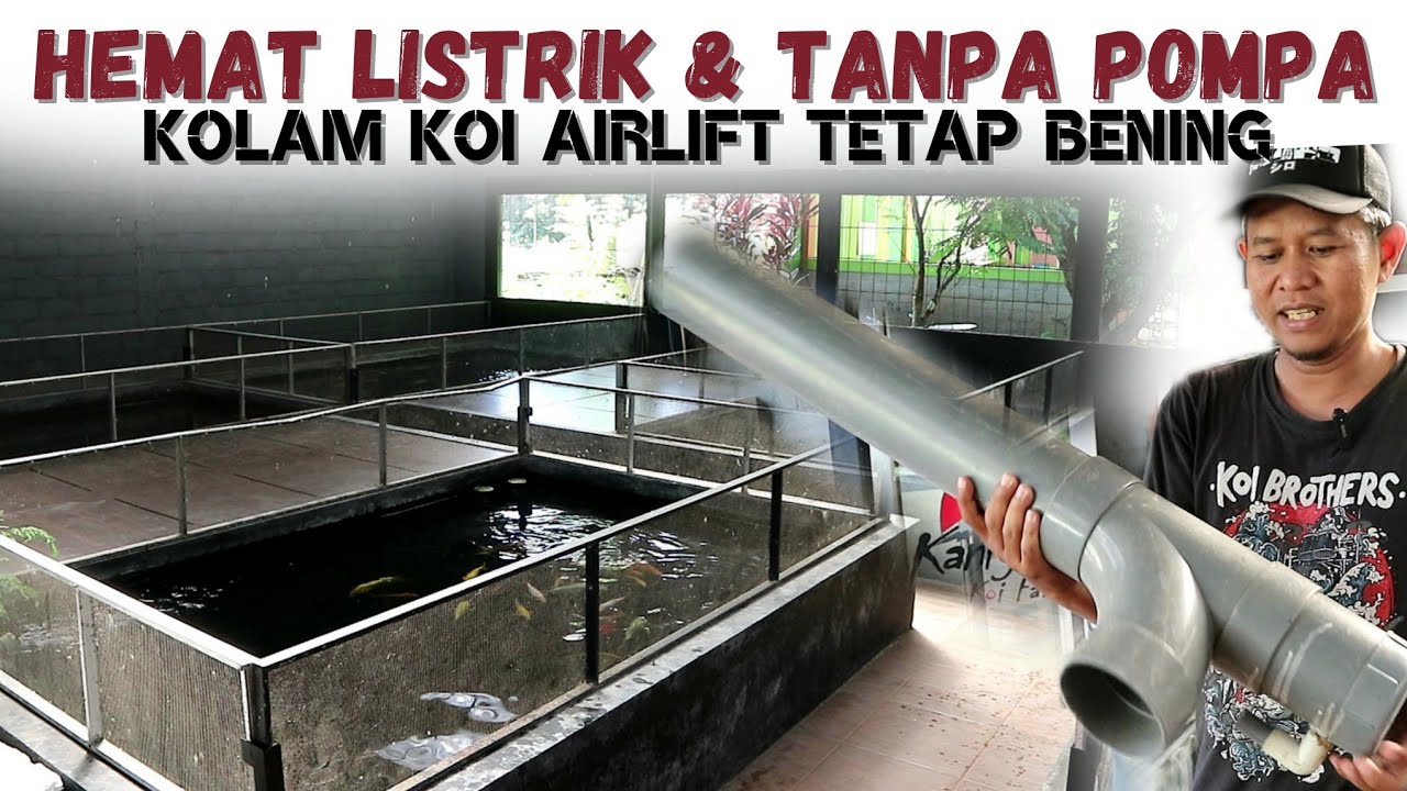 BONGKAR SISTEM AIRLIFT KOLAM KOI DI KANIGOI FARM