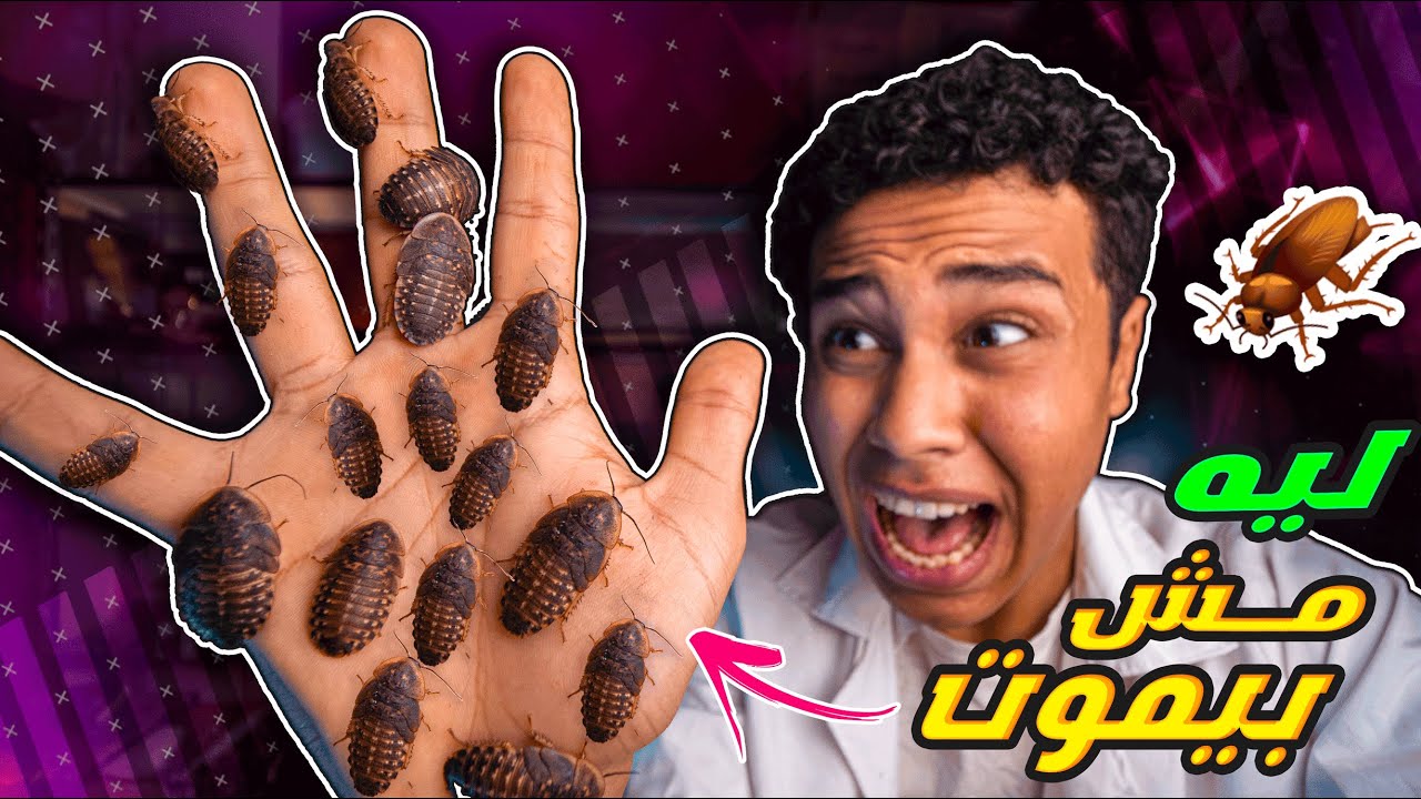 ليه الصراصير مش بتموت ؟🪳 أقوي كائن في العالم !!😱