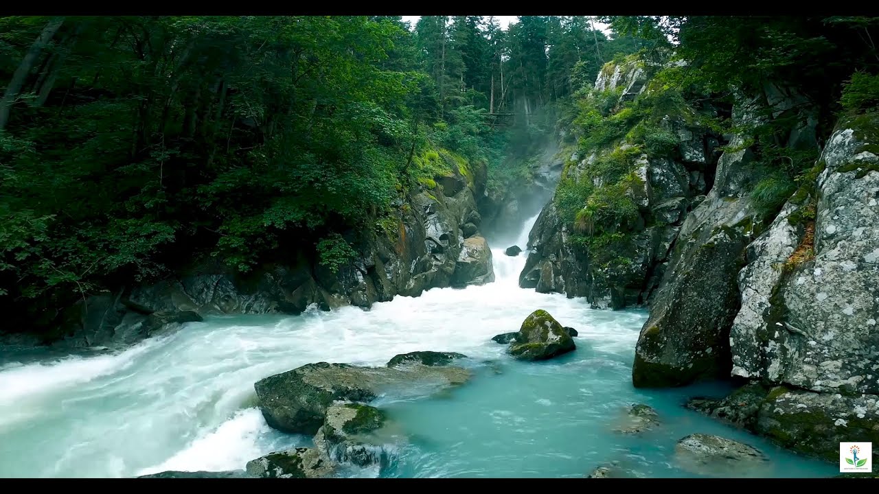 Walk in the Nature | Stress Relief Relaxing Video | Soothing & Refreshing #meditationmusic