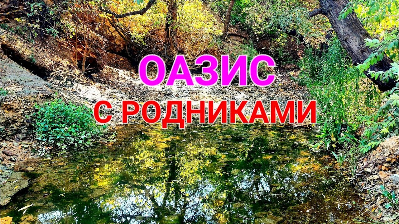 👍 Красивый родник Великий Дальник. Одесса и ее окрестности. Туризм сегодня. Лагуна. Рыбалка 