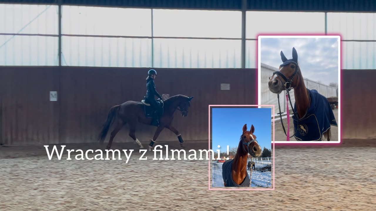 Vlog#126|| Wracamy z filmami !