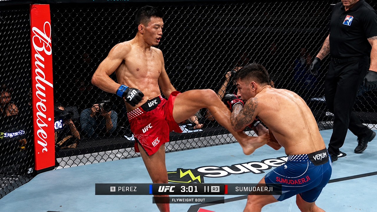 Alex Perez vs Sumudaerji 2 FULL FIGHT HIGHLIGHTS | UFC Shanghai