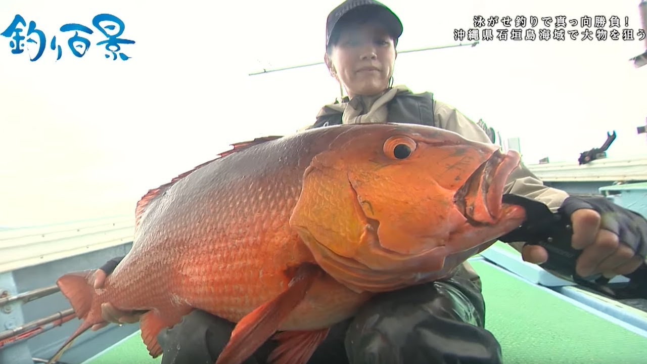 【釣り百景】#443 泳がせ釣りで真っ向勝負！ 沖縄県石垣島海域で大物を狙う