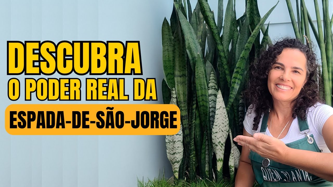 🌿A ESPADA DE SÃO JORGE vai além da PROTEÇÃO descubra o PORQUÊ🌿