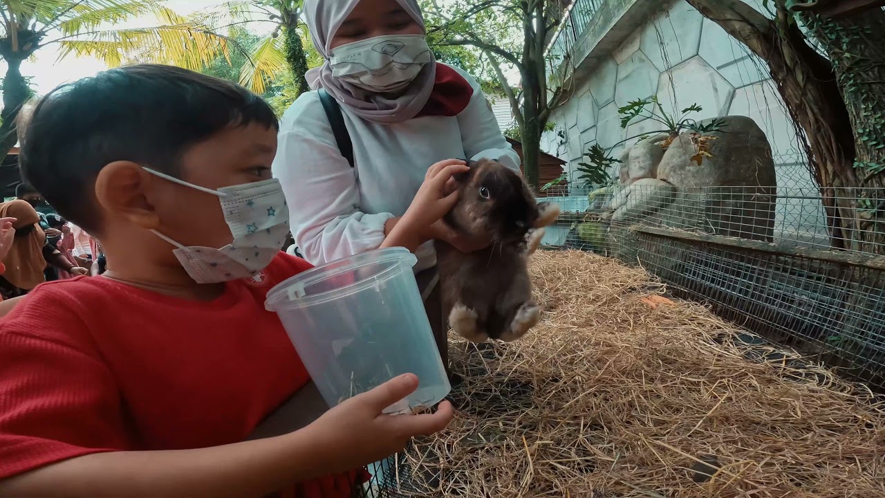 Family Trip November 2021 - Farm In The City, KL Mini Zoo,KL Tower Dan Aquaria