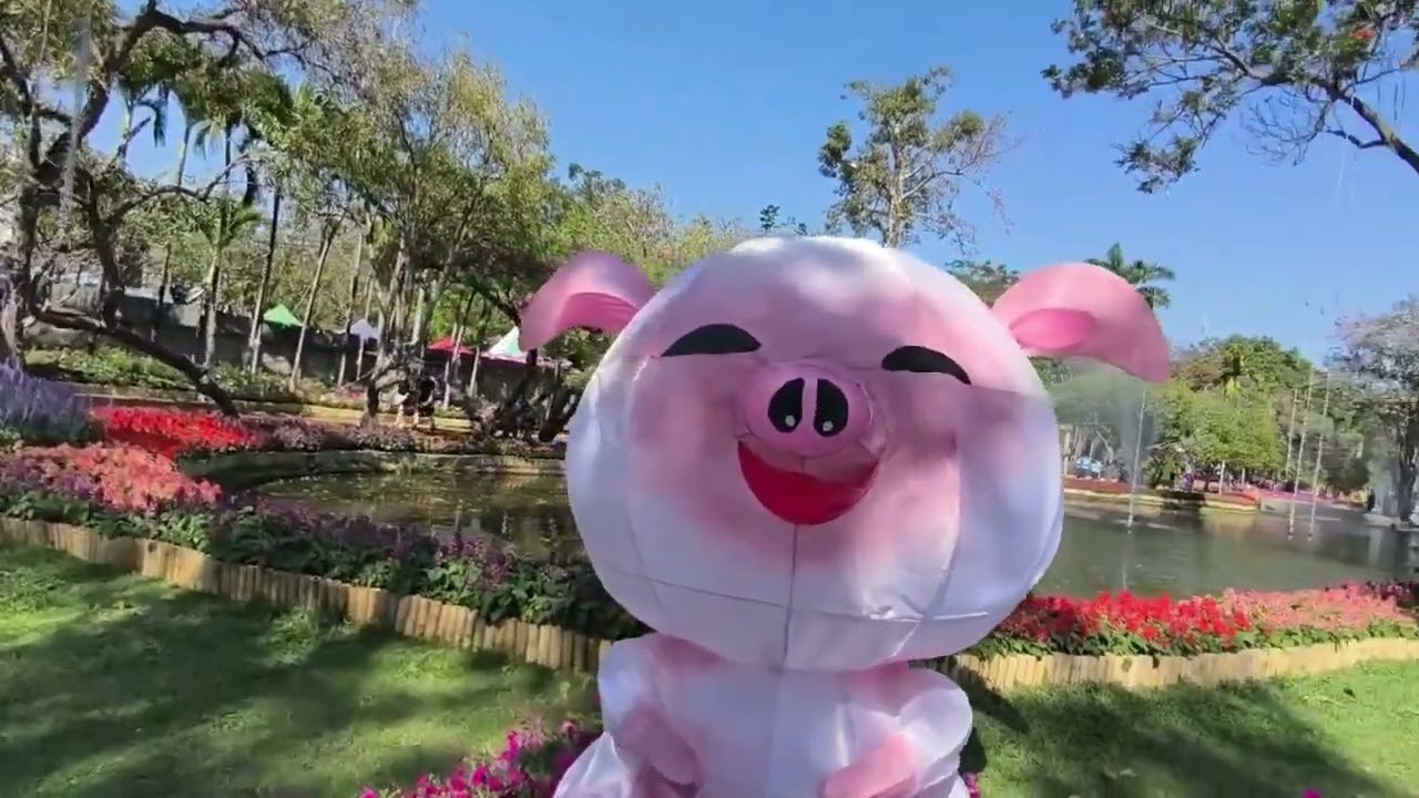 FESTIVAL DES FLEURS DE CHIANG MAI DU 13 AU 15 FÉVRIER 2026 #chiangmai #thailand #visit #tourism