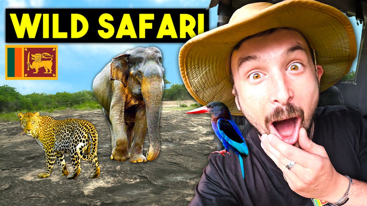 Sri Lanka's WILDLIFE SAFARI is Absolutely EPIC (Udawalawe National Park)🇱🇰