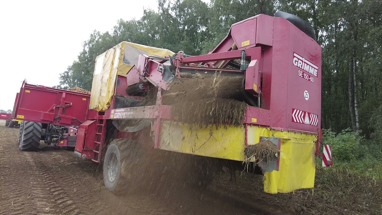 Kopiemy duży poprzeczniak 7,5ha. 2xGrimme SE 150-60. 4xMagnum serii 7200.Puma 155.Maxxum 5140.