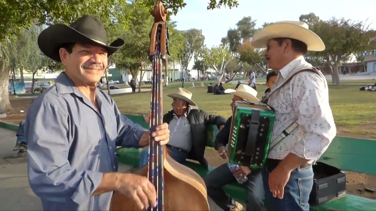 Palomazo Norteño. Serie 