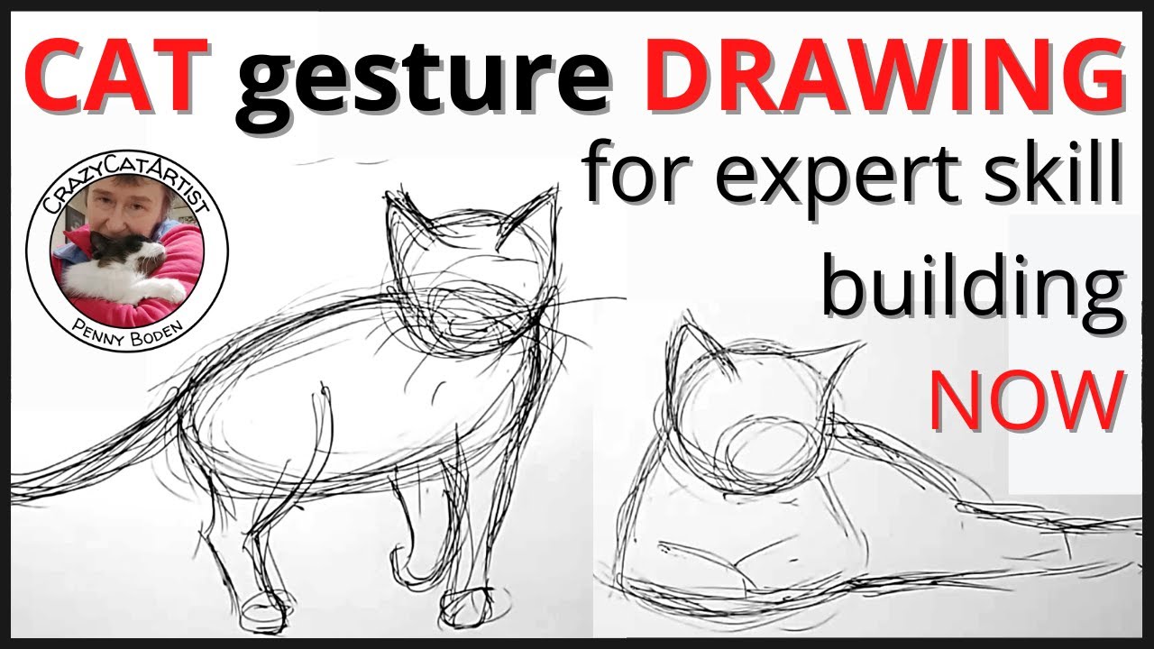 Gain Cat Drawing Skills FAST with fun gesture sketching, side view standing, front face laying down