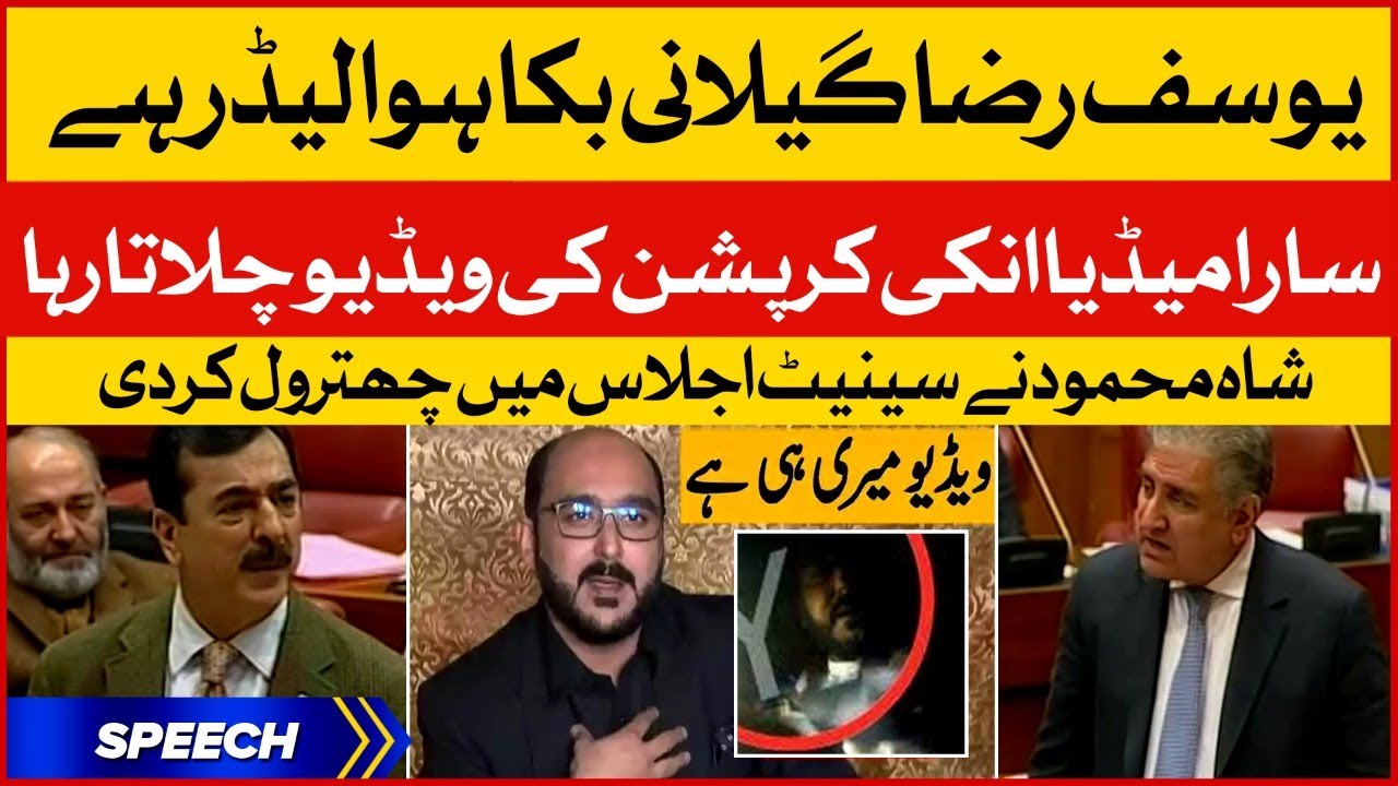 Shah Mehmood Qureshi Blasting Speech in Senate Session | Yousuf Raza Gillani Bika Hua Leader Hai