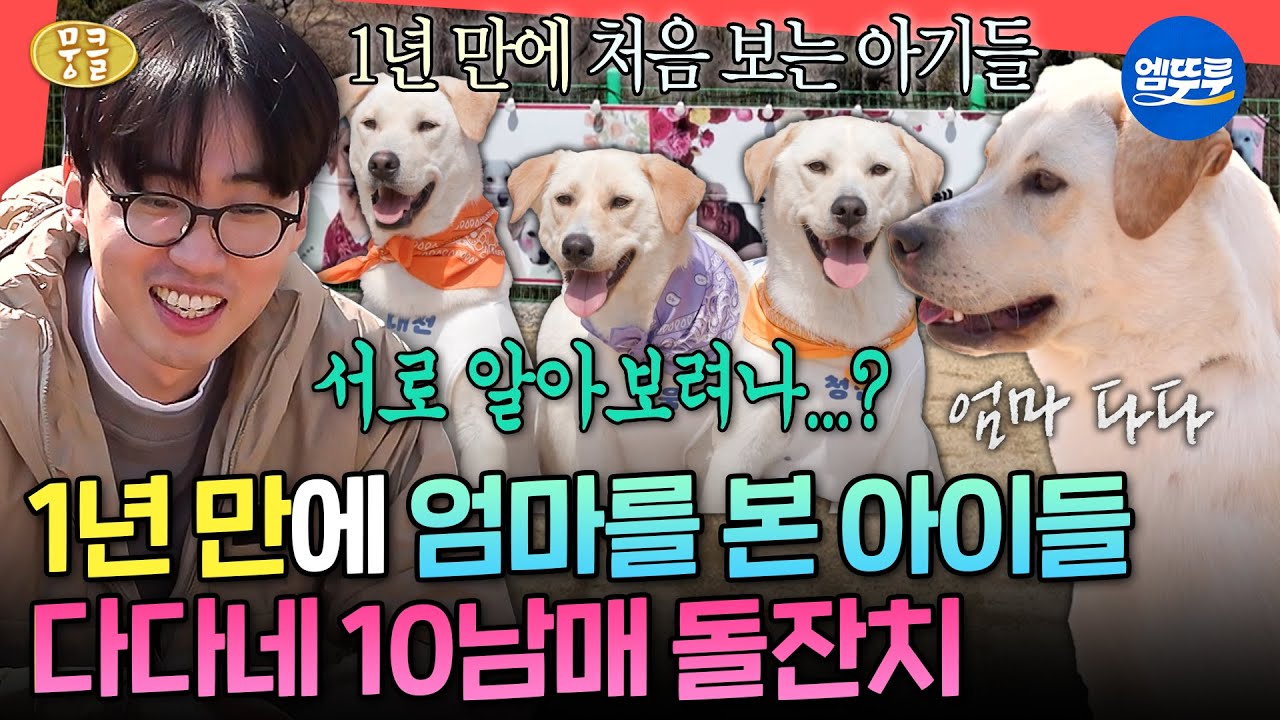 [전참시] 1년 만에 재회한 다다와 10남매 아이들?! 다다네 첫 돌잔치 현장 공개ㅣ#이강태 MBC260404방송