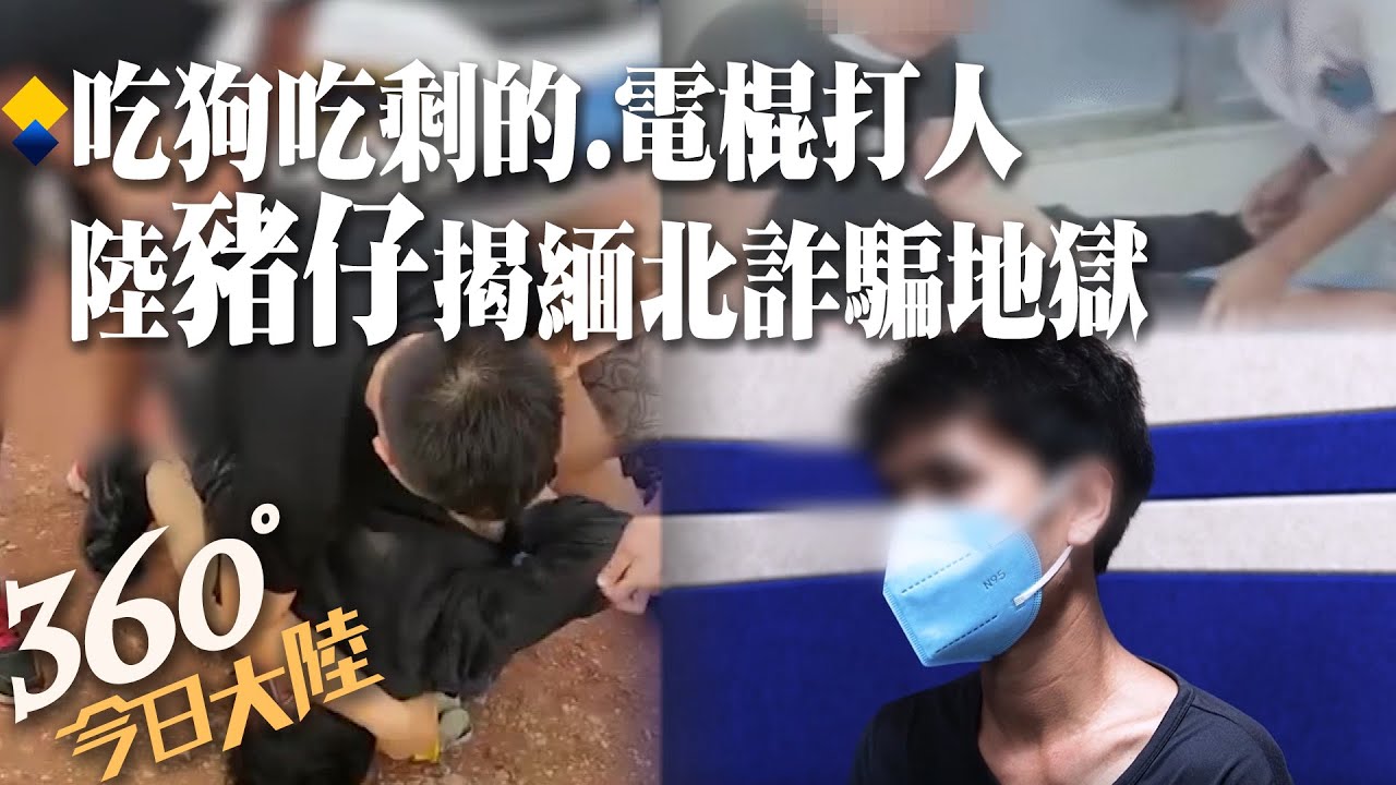 不只柬埔寨!吃狗吃剩的、用電棍打我 大陸