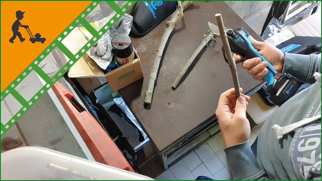STARK L Campagnola Electric Pruning Shears - Customer's video