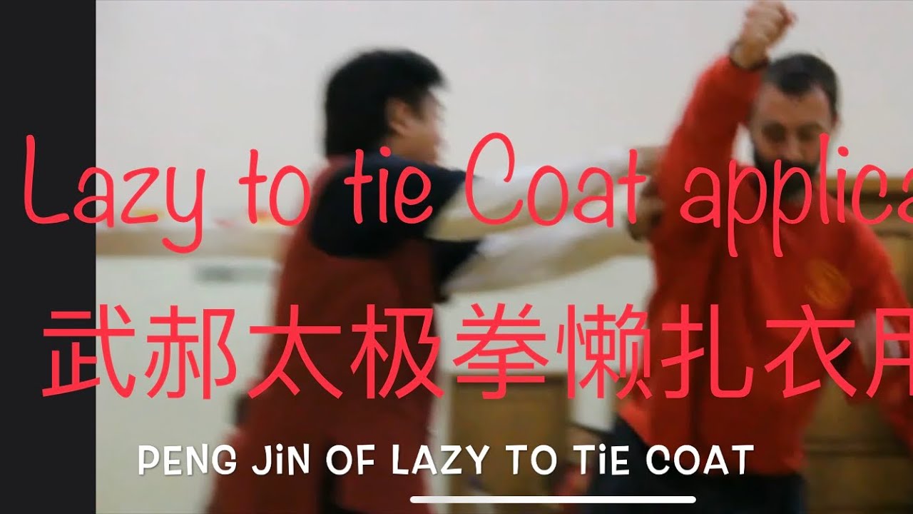 Tai Chi Application Wu Hao Style Lazy to Tie Coat 懒扎衣用法 by Master Jimmy Wong